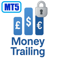 💰 Currency Trailing MT5